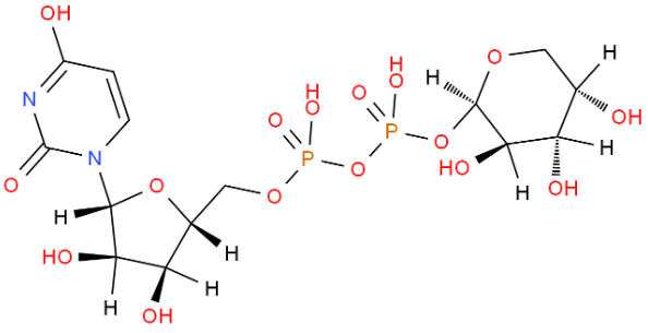 UDP-阿拉伯糖，UDP-b-L-arabinopyranose disodium salt，UDP-β-L-Ara.2Na