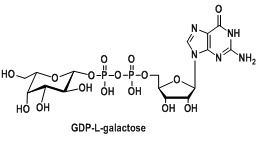 核苷酸標(biāo)記半乳糖，尿苷二磷酸修飾半乳糖，GDP-L-半乳糖，GDP-L-galactose，CAS:16689-00-2