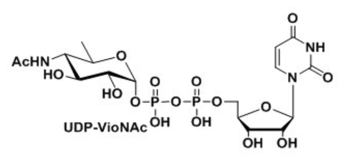 UDP-VioNAc，UDP-ManNAcA，Uridine 5′-diphospho-N-acetyl-D-mannosaminuronic acid Disodium Salt?
