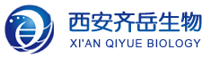 MOF載藥：葫蘆素B-聚乳酸-羥基乙酸共聚物載藥納米粒； 阿魏酸聚合物的載藥納米粒