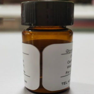 生物素標記HBVDNA分子探針