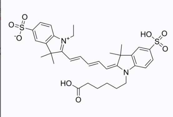 菁染料CY5標(biāo)記阿霉素