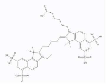近紅外染料CY5.5標(biāo)記阿霉素