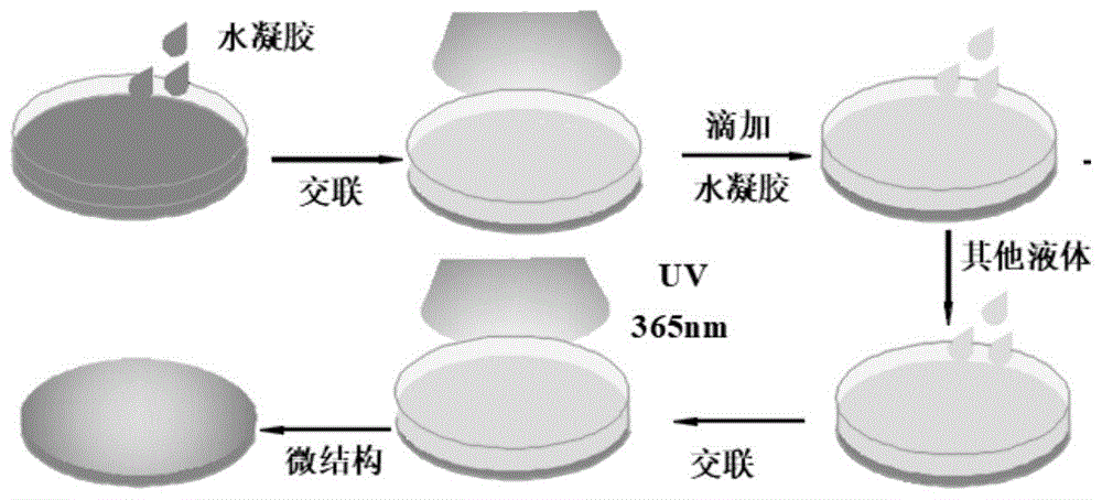 甘草次酸聚乙二醇葡萄糖，甘草次酸-peg-Glucose，GA-peg-Glucose