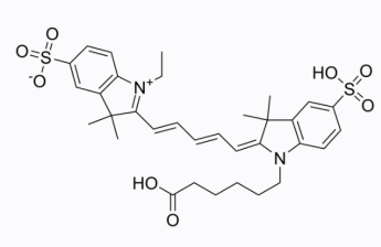 姜黃素-聚乙二醇-CY5 