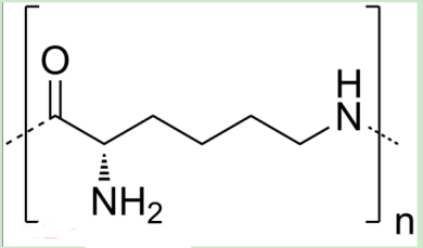 姜黃素-聚乙二醇-聚賴氨酸 
