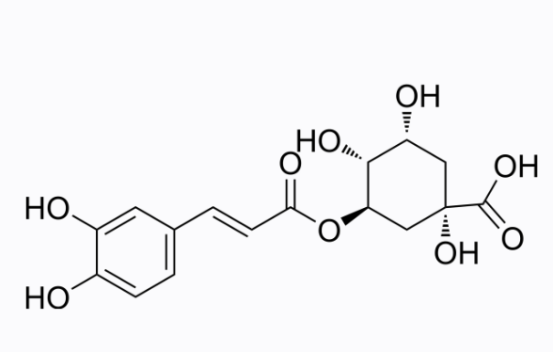 Chlorogenic acid 綠原酸 