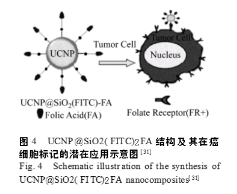 稀土摻雜上轉換氟化物納米材料