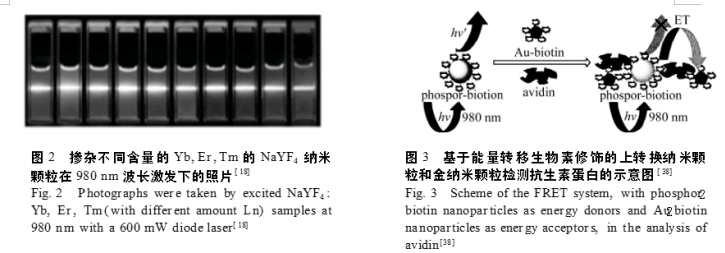 稀土摻雜上轉換氟化物納米材料