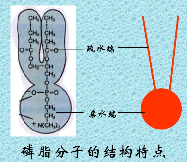 圖片2.png