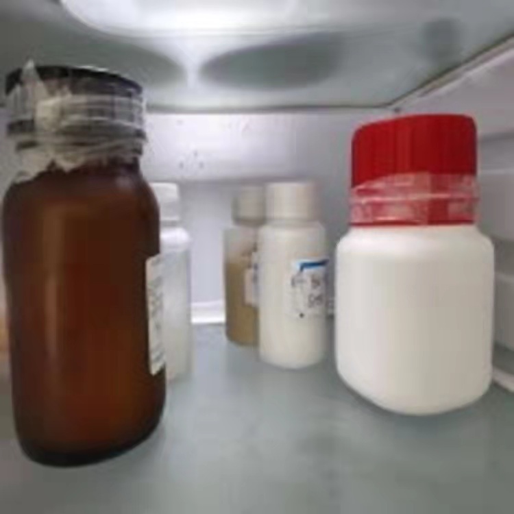 磁靶向納米Fe3O4-TiO2復合物