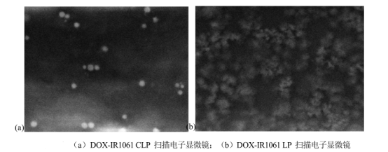 (DOX-IR1061CLP)