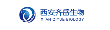 實(shí)心介孔二氧化硅納米顆粒