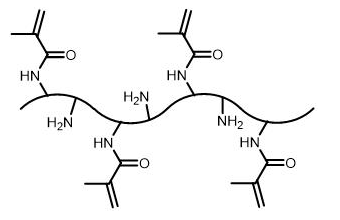 藍色熒光標記甲基丙烯酰化明膠