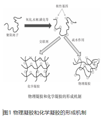   圖1 物理凝膠和化學凝膠的形成機制    