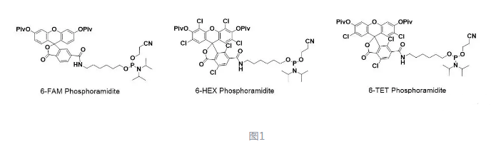 熒光素標記