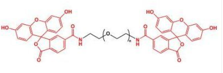 FITC-PEG-FITC；二熒光素聚乙二醇；Fluoresein-PEG-Fluoresein