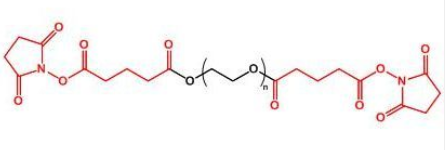 SG-PEG-SG；二琥珀酰亞胺戊二酸酯聚乙二醇；Succinimidyl Glutarate ester-PEG-Succinimidyl Glutarate ester
