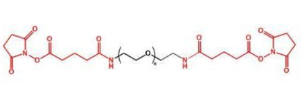 GAS-PEG-GAS；二戊二酰胺琥珀酰亞胺聚乙二醇；Glutaramide Succinimidyl ester-PEG-Glutaramide