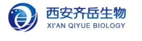 二氧化硅離子型材料