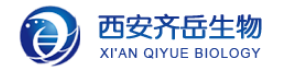 納米氧化鋅