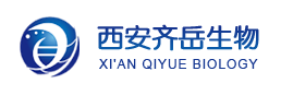 PS-b-PDLLA  聚聚苯乙烯交聯(lián)消旋聚乳酸 