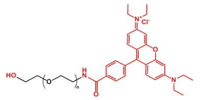Rhodamine-PEG-OH；羅丹明聚乙二醇羥基；RB-PEG-OH