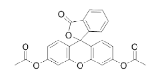 FDA [Fluorescein diacetate]，596-09-8，熒光素二乙酸酯