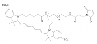 Cy7-PEG-Mal；Cy7-聚乙二醇-馬來酰亞胺；Cy7-PEG-Maleimide