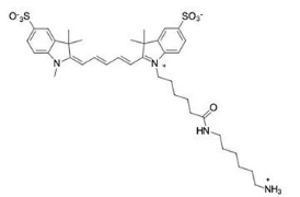 Sulfo Cy5 NH2；2183440-44-8;水溶性五甲川花菁染料標(biāo)記氨基