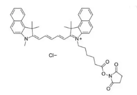 CY5.5 NHS；1469277-96-0；CY5.5琥珀酰亞胺脂 