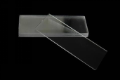 氨基功能化玻璃蓋玻片；Amine functionalized glass slides
