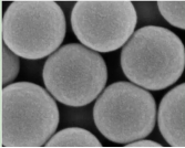 羧基修飾聚苯乙烯微球50nm；AIE綠色熒光羧基修飾聚苯乙烯微球