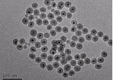羧基化ps微球200nm；羧基化紅色熒光聚苯乙烯微球 