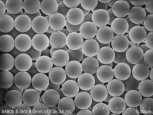 單分散聚苯乙烯微球80nm；PS納米顆粒80nm