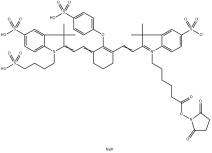 IR800-NHS；CAS：956579-01-4；IR800 琥珀酰亞胺酯活性脂