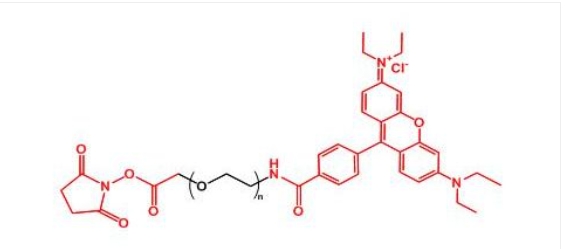 羅丹明聚乙二醇活性酯 RB-PEG-NHS