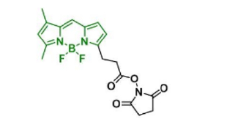 BDP FL NHS ester，146616-66-2
