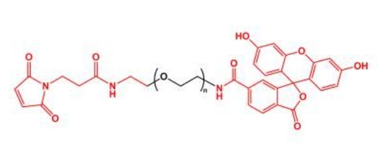 熒光素聚乙二醇馬來酰亞胺 FITC-PEG-MAL