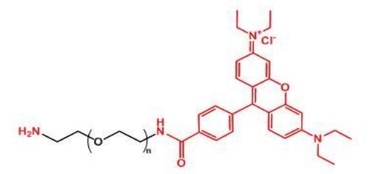 羅丹明聚乙二醇氨基 Rhodamine-PEG-NH2