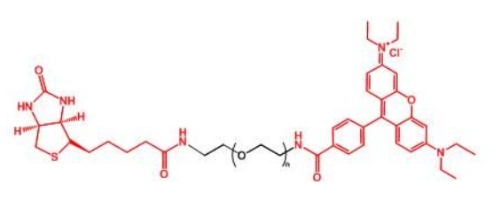 羅丹明聚乙二醇生物素 RB-PEG-BIOTIN