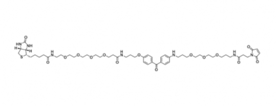 UV-Tracer Biotin Mal；1628028-96-5 ； 紫外追蹤-生物素-馬來酰亞胺