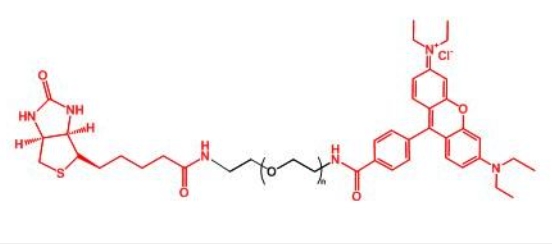 羅丹明聚乙二醇生物素 RB-PEG-BIOTIN