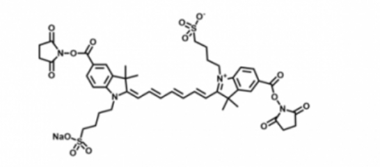 disulfo-ICG Bis-NHS Ester，水溶性吲哚菁綠-活性酯(Bis）