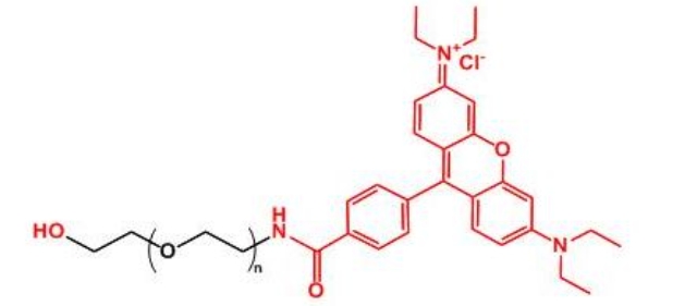 羅丹明聚乙二醇羥基 Rhodamine-PEG-OH