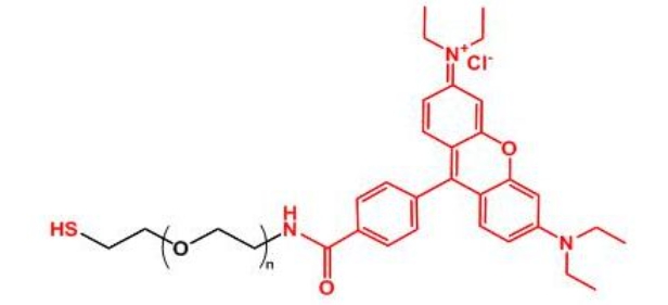 羅丹明聚乙二醇巰基 Rhodamine-PEG-SH