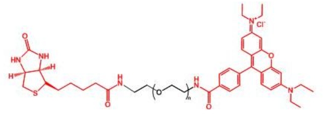 羅丹明聚乙二醇生物素 RB-PEG-BIOTIN