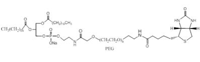 磷脂-聚乙二醇-生物素 自組裝PEG脂質體 DSPE-PEG-Biotin 