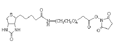 生物素-聚乙二醇-琥珀酰亞胺NHS酯 Biotin-PEG-SCM