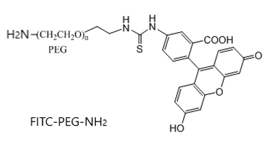 熒光素-聚乙二醇-氨基 熒光標記 FITC-PEG-NH2 